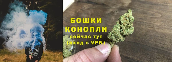 гашик Нея