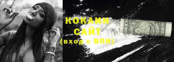 гашик Нея