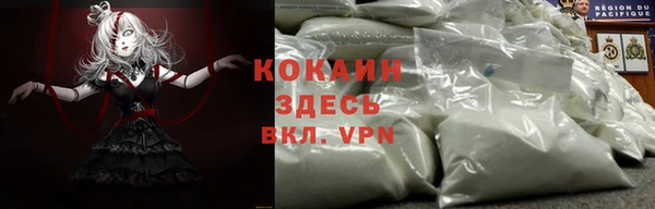 гашик Нея