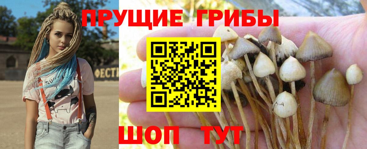 Тулун  Галлюциногенные грибы Magic Shrooms  Вход с VPN  Галлюциногенные грибы Cubensis 