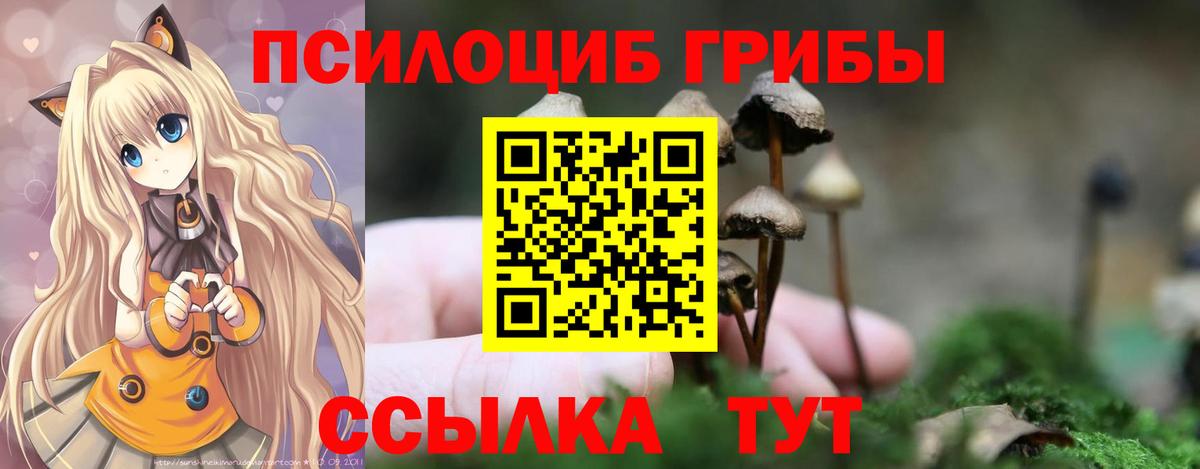 Псилоцибиновые грибы Magic Shrooms Тулун